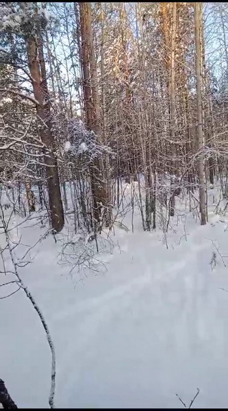http://upforme.ru/uploads/0010/2b/7f/2/146328.jpg