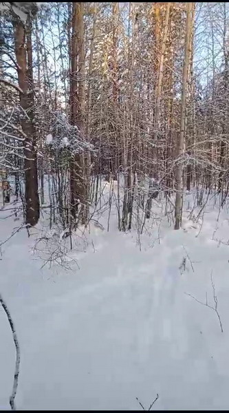 http://upforme.ru/uploads/0010/2b/7f/2/167600.jpg