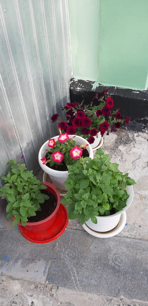 http://upforme.ru/uploads/0010/2b/7f/2/188397.jpg
