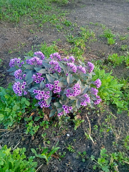 http://upforme.ru/uploads/0010/2b/7f/2/327548.jpg