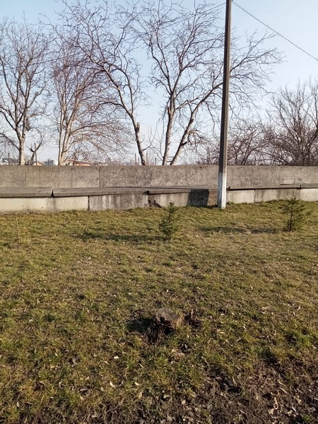 http://upforme.ru/uploads/0010/2b/7f/2/494435.jpg