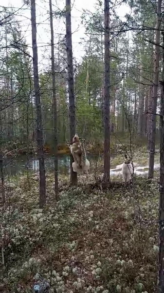 http://upforme.ru/uploads/0010/2b/7f/2/591578.jpg