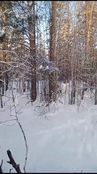 http://upforme.ru/uploads/0010/2b/7f/2/638561.jpg