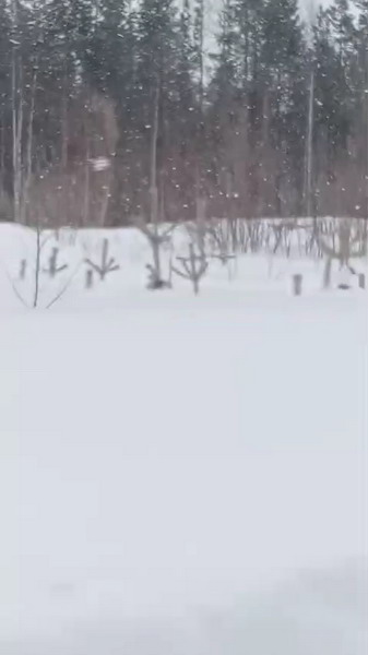 http://upforme.ru/uploads/0010/2b/7f/2/87326.jpg