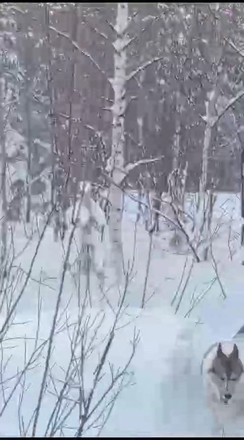 http://upforme.ru/uploads/0010/2b/7f/2/96201.jpg