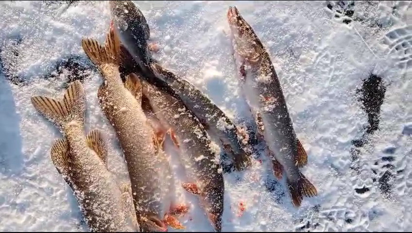 http://upforme.ru/uploads/0010/2b/7f/203/169615.jpg