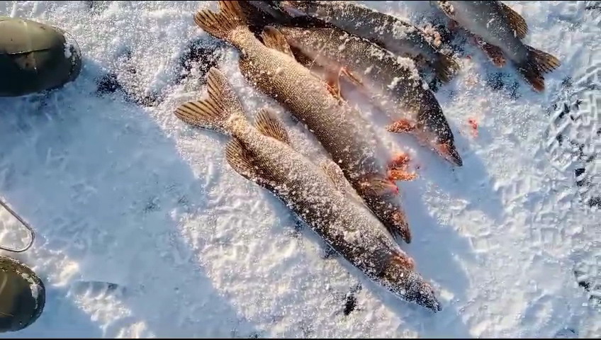http://upforme.ru/uploads/0010/2b/7f/203/31542.jpg