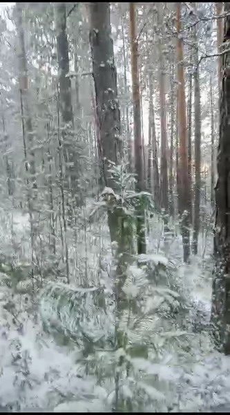 http://upforme.ru/uploads/0010/2b/7f/203/386543.jpg