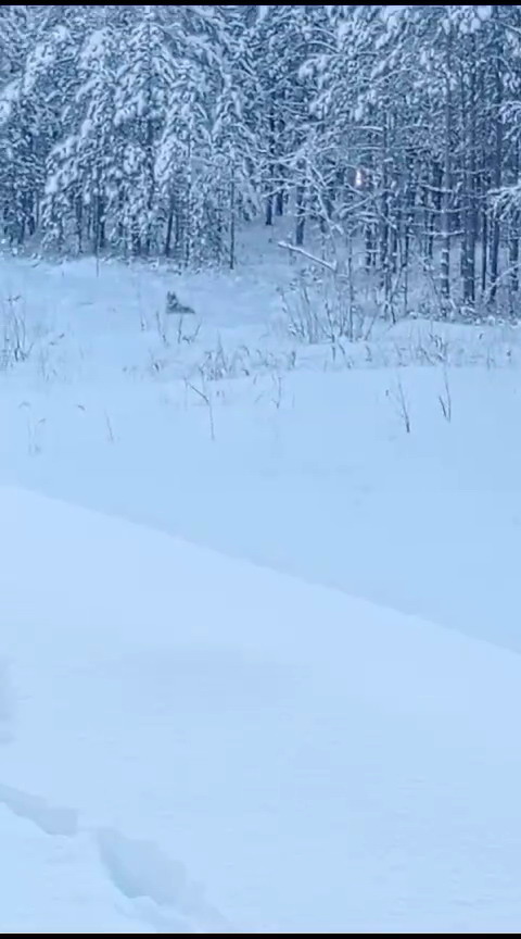 http://upforme.ru/uploads/0010/2b/7f/203/520751.jpg