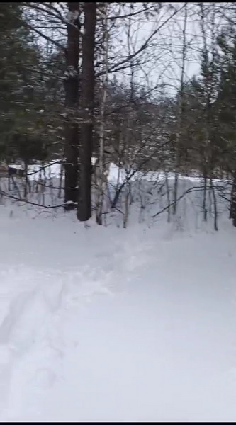 http://upforme.ru/uploads/0010/2b/7f/203/534625.jpg