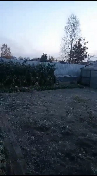 http://upforme.ru/uploads/0010/2b/7f/203/822019.jpg