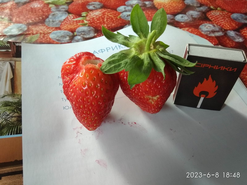http://upforme.ru/uploads/0010/2b/7f/204/20045.jpg