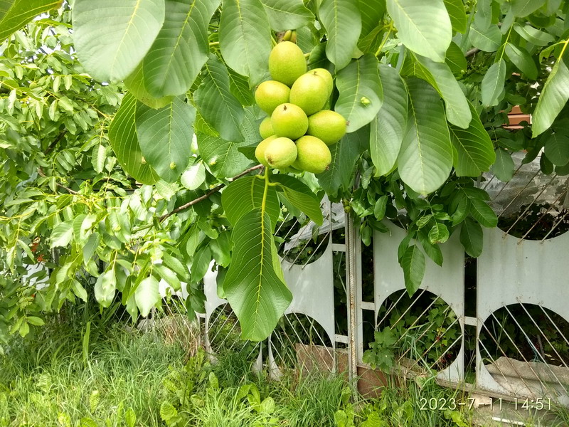 http://upforme.ru/uploads/0010/2b/7f/204/371799.jpg