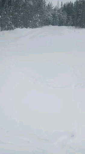 http://upforme.ru/uploads/0010/2b/7f/204/590261.jpg