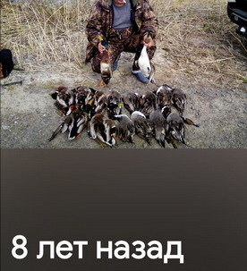http://upforme.ru/uploads/0010/2b/7f/204/696723.jpg