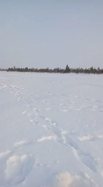 http://upforme.ru/uploads/0010/2b/7f/204/914034.jpg
