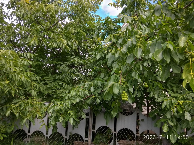 http://upforme.ru/uploads/0010/2b/7f/204/948947.jpg