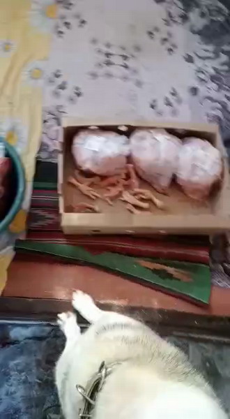 http://upforme.ru/uploads/0010/2b/7f/204/961567.jpg