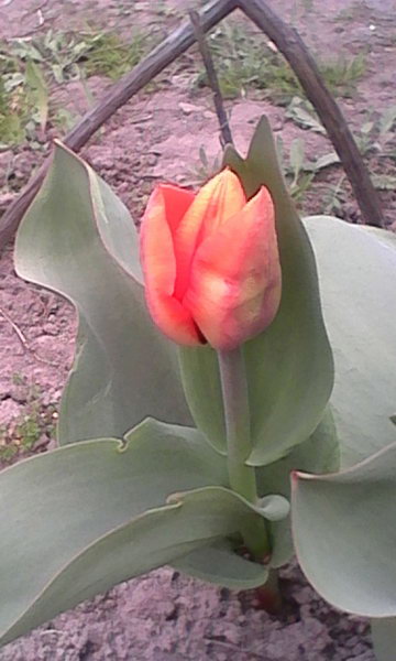 http://upforme.ru/uploads/0010/2b/7f/4/219903.jpg