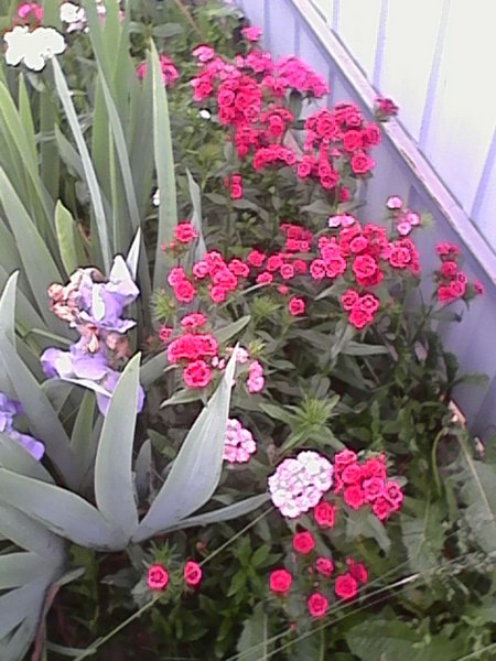 http://upforme.ru/uploads/0010/2b/7f/4/287155.jpg