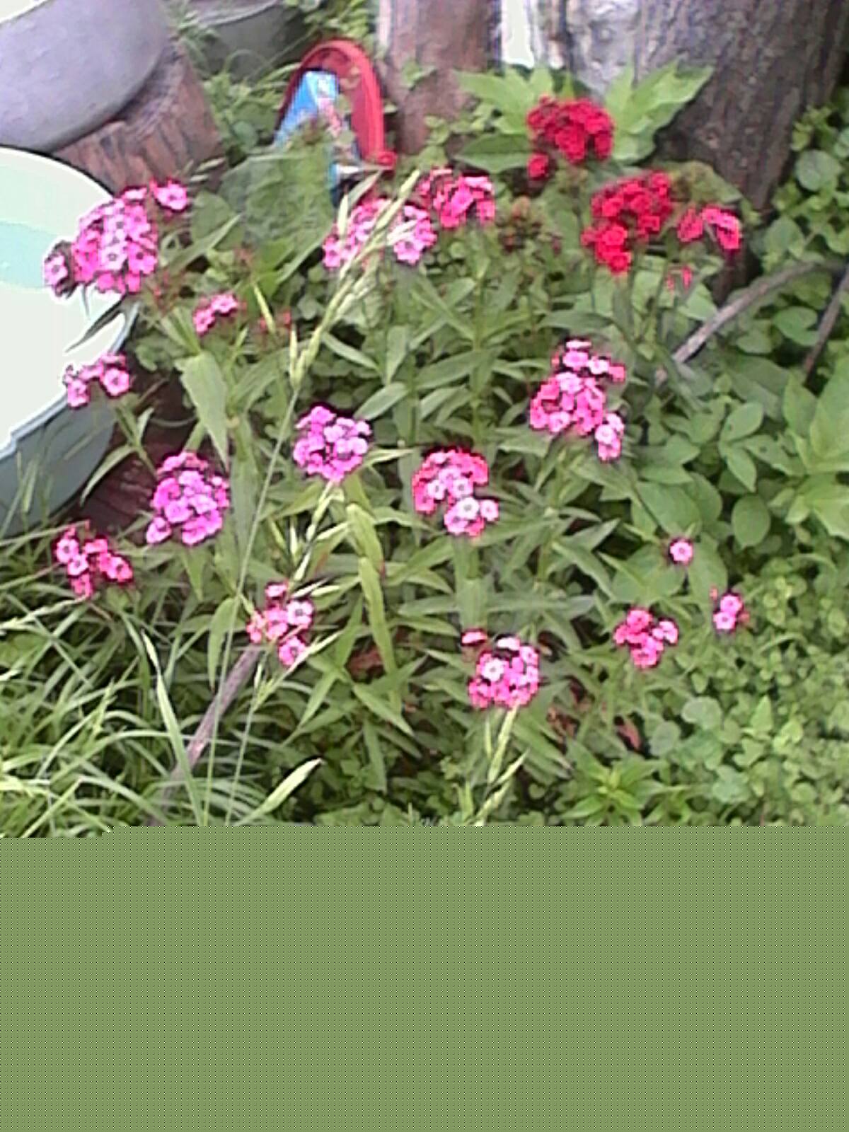http://upforme.ru/uploads/0010/2b/7f/4/352326.jpg