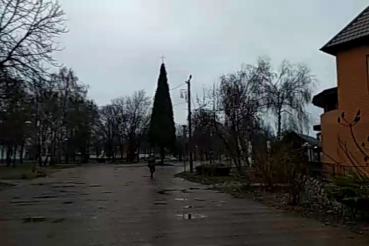 http://upforme.ru/uploads/0010/2b/7f/4/398299.jpg