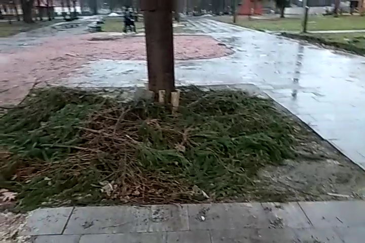 http://upforme.ru/uploads/0010/2b/7f/4/400169.jpg