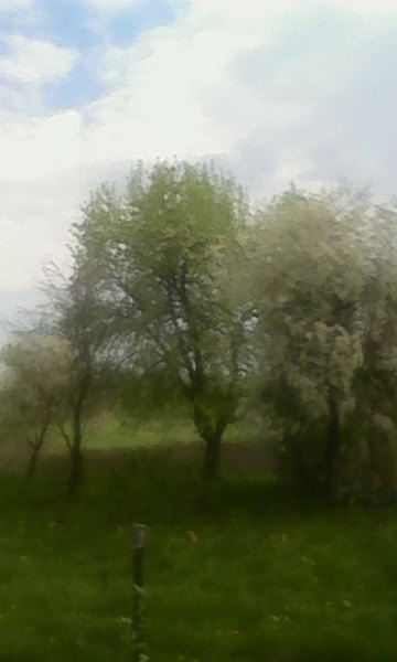 http://upforme.ru/uploads/0010/2b/7f/4/464800.jpg