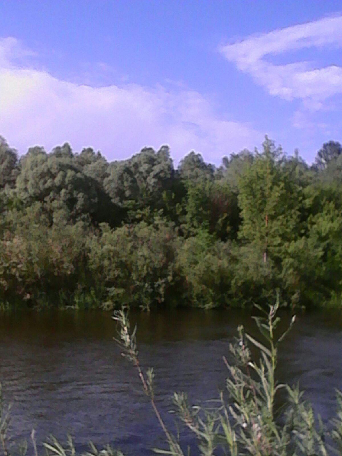 http://upforme.ru/uploads/0010/2b/7f/4/633507.jpg