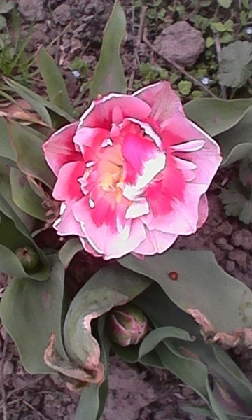 http://upforme.ru/uploads/0010/2b/7f/4/807263.jpg