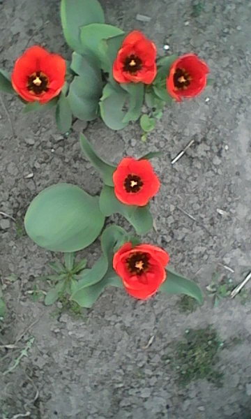 http://upforme.ru/uploads/0010/2b/7f/4/922349.jpg