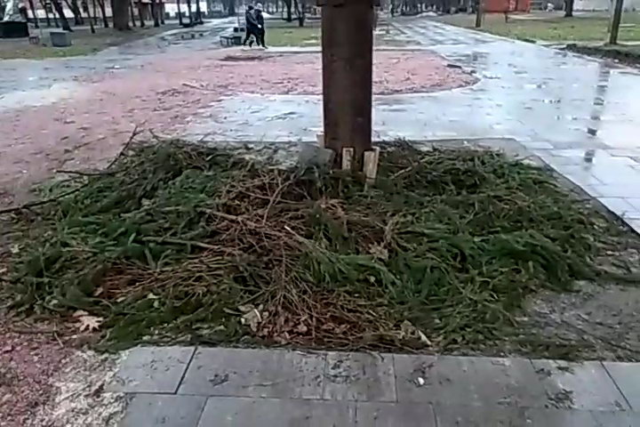 http://upforme.ru/uploads/0010/2b/7f/4/935200.jpg