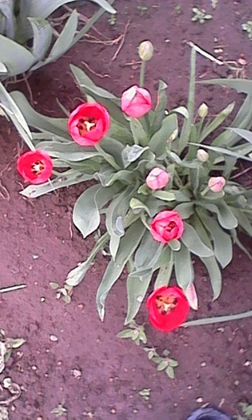 http://upforme.ru/uploads/0010/2b/7f/4/970284.jpg