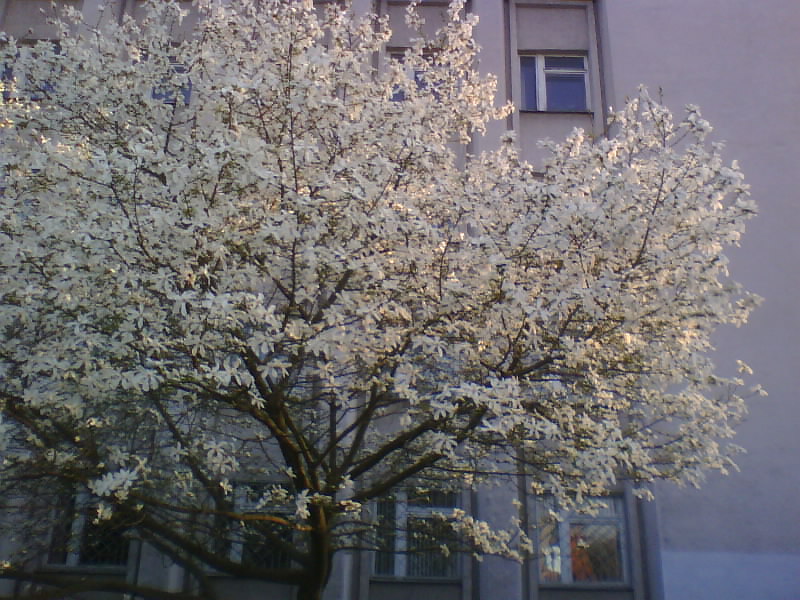 http://upforme.ru/uploads/0010/2b/7f/5/103317.jpg