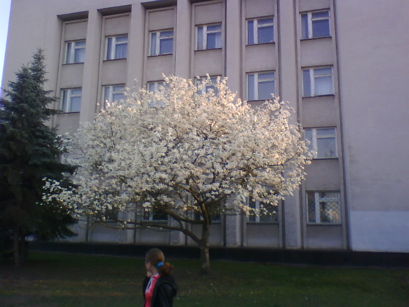 http://upforme.ru/uploads/0010/2b/7f/5/106166.jpg