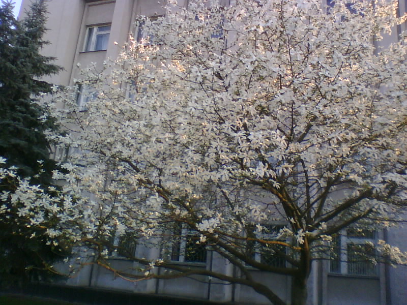 http://upforme.ru/uploads/0010/2b/7f/5/158701.jpg