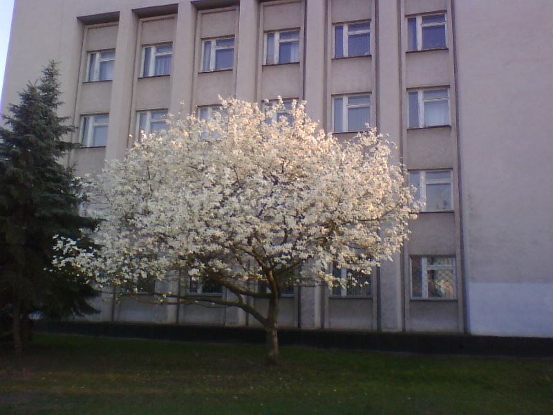 http://upforme.ru/uploads/0010/2b/7f/5/201267.jpg