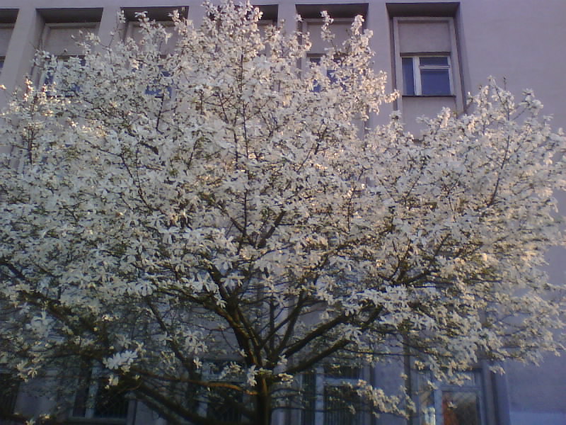 http://upforme.ru/uploads/0010/2b/7f/5/235376.jpg