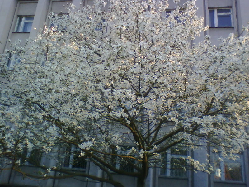http://upforme.ru/uploads/0010/2b/7f/5/309377.jpg
