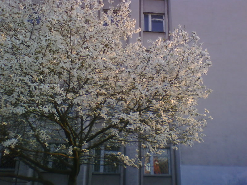 http://upforme.ru/uploads/0010/2b/7f/5/33202.jpg