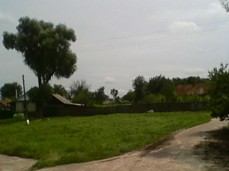 http://upforme.ru/uploads/0010/2b/7f/5/405676.jpg