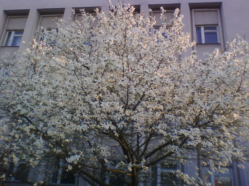 http://upforme.ru/uploads/0010/2b/7f/5/434291.jpg