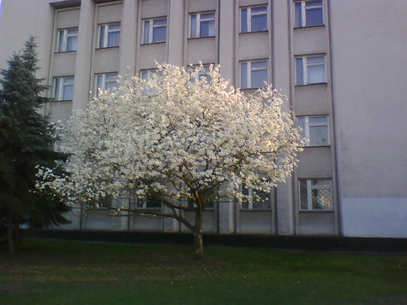 http://upforme.ru/uploads/0010/2b/7f/5/499064.jpg