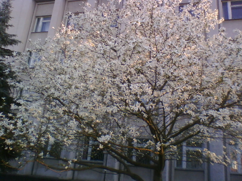 http://upforme.ru/uploads/0010/2b/7f/5/525139.jpg