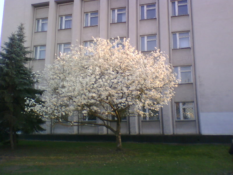 http://upforme.ru/uploads/0010/2b/7f/5/63077.jpg