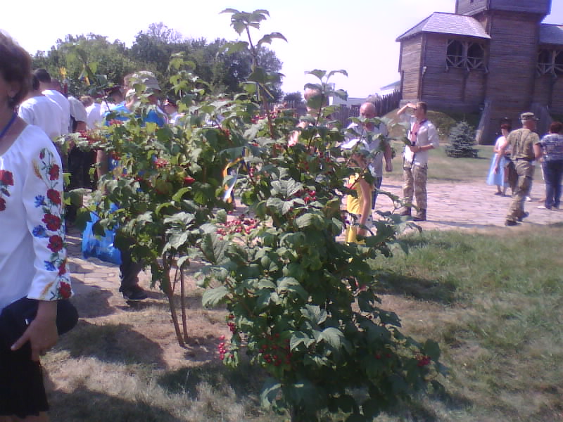 http://upforme.ru/uploads/0010/2b/7f/5/704274.jpg