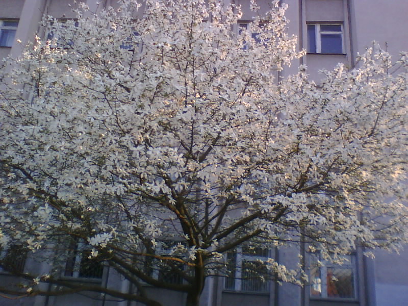 http://upforme.ru/uploads/0010/2b/7f/5/780237.jpg