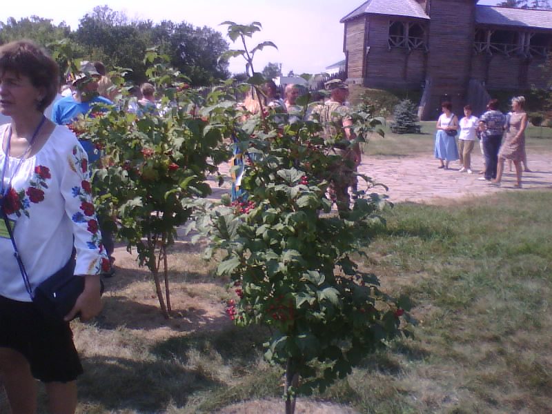http://upforme.ru/uploads/0010/2b/7f/5/839355.jpg