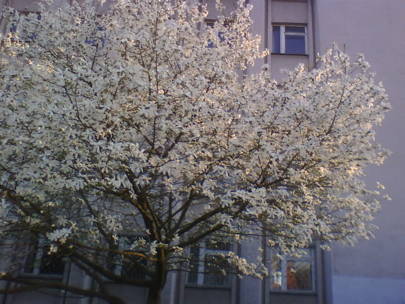 http://upforme.ru/uploads/0010/2b/7f/5/840475.jpg