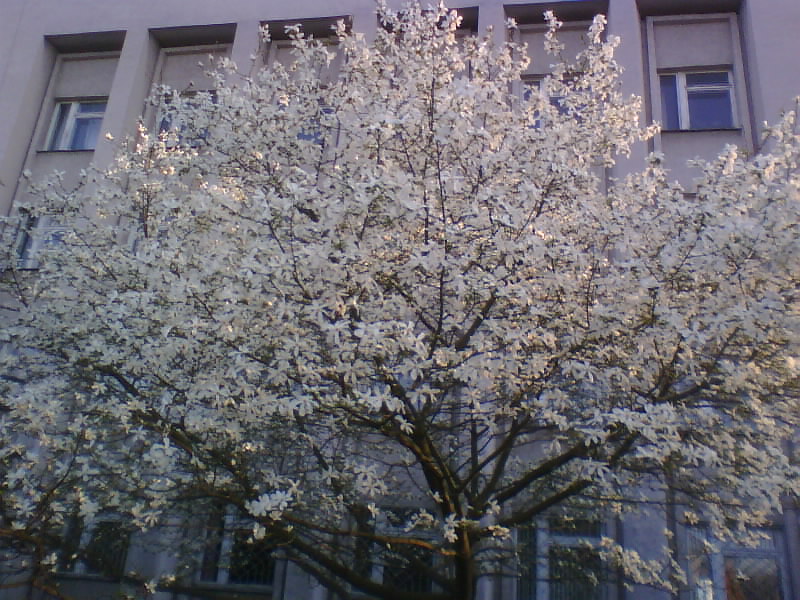 http://upforme.ru/uploads/0010/2b/7f/5/88034.jpg